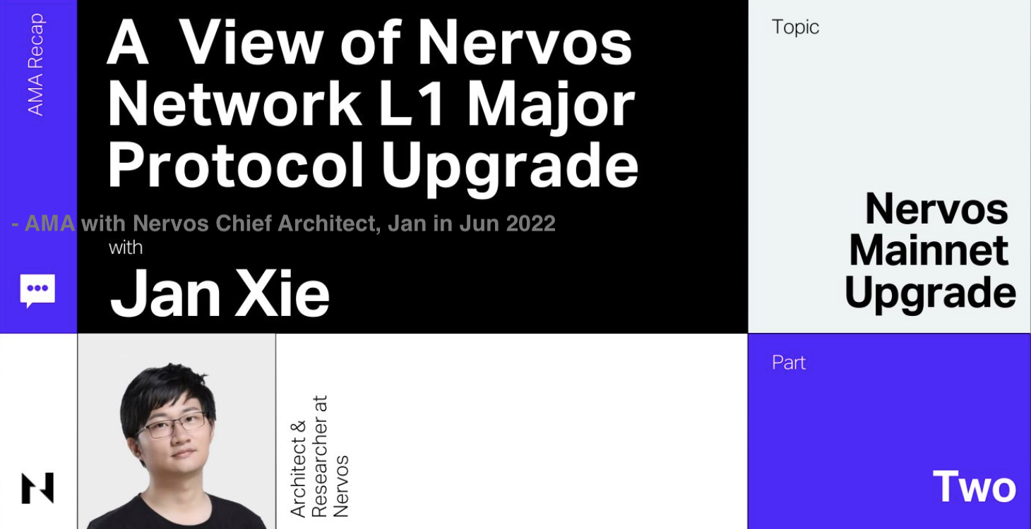 Nervos Careers - Insights and Opportunities